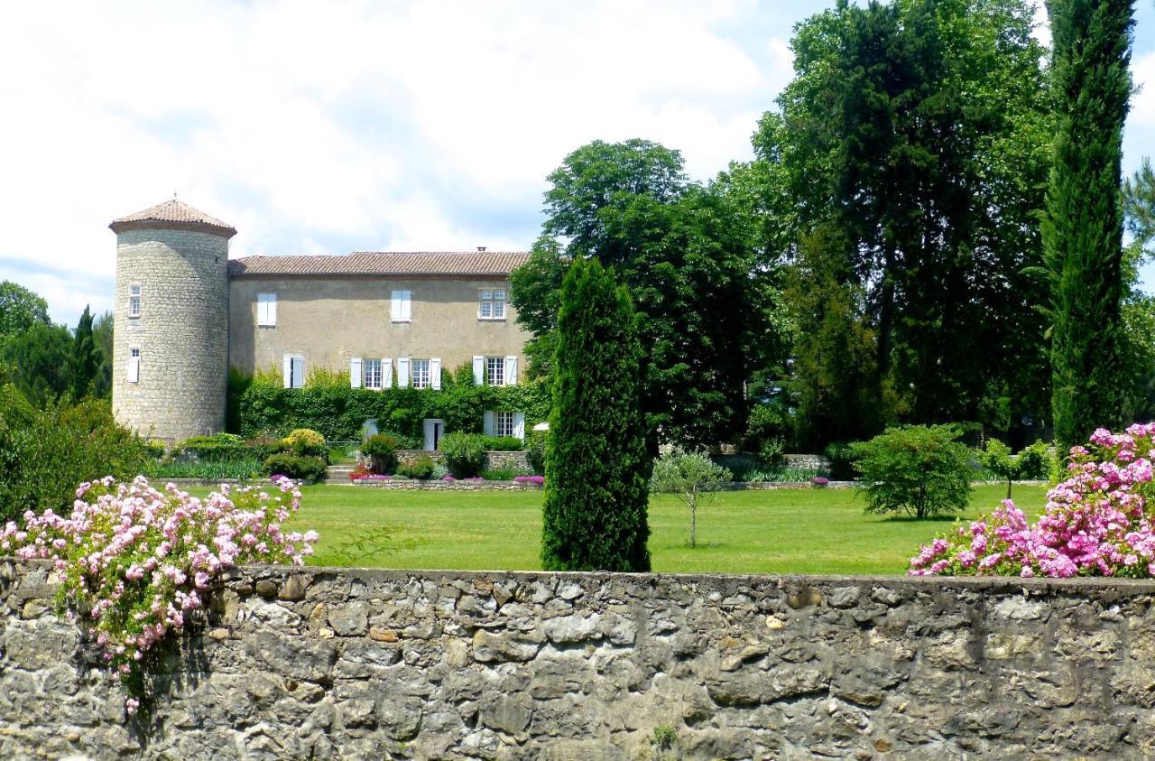 Chateau De La Selve *