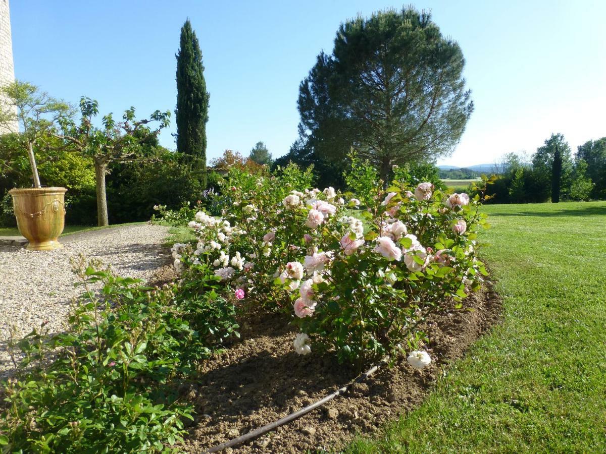 Chateau De La Selve Appartement *