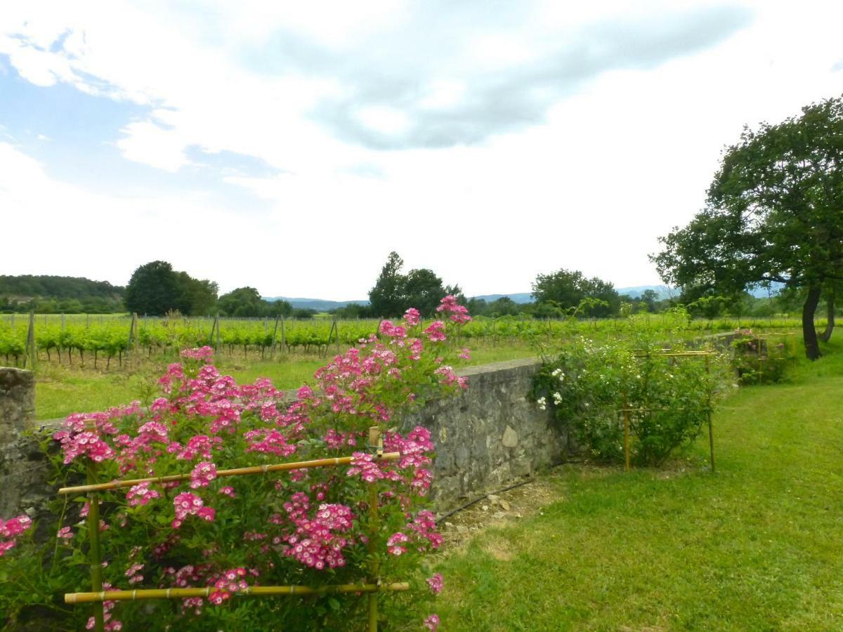 Chateau De La Selve Appartement *